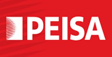 PEISA LOGO